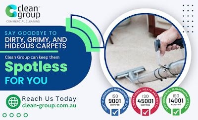How often should I have my carpets professionally cleaned?
